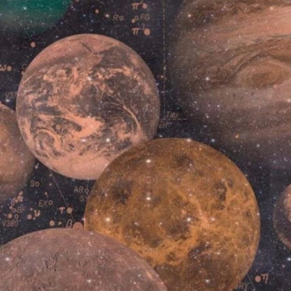 Meet your Posher, Arianna - Picture 1 of 1